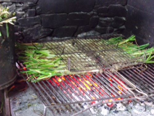 Calcots Parrilla